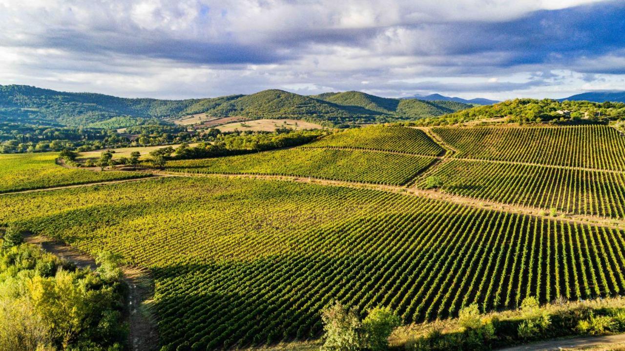 La Foresteria Di Rocca Di Frassinello 가보라노 외부 사진